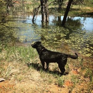 Meet your Posher, Meressa